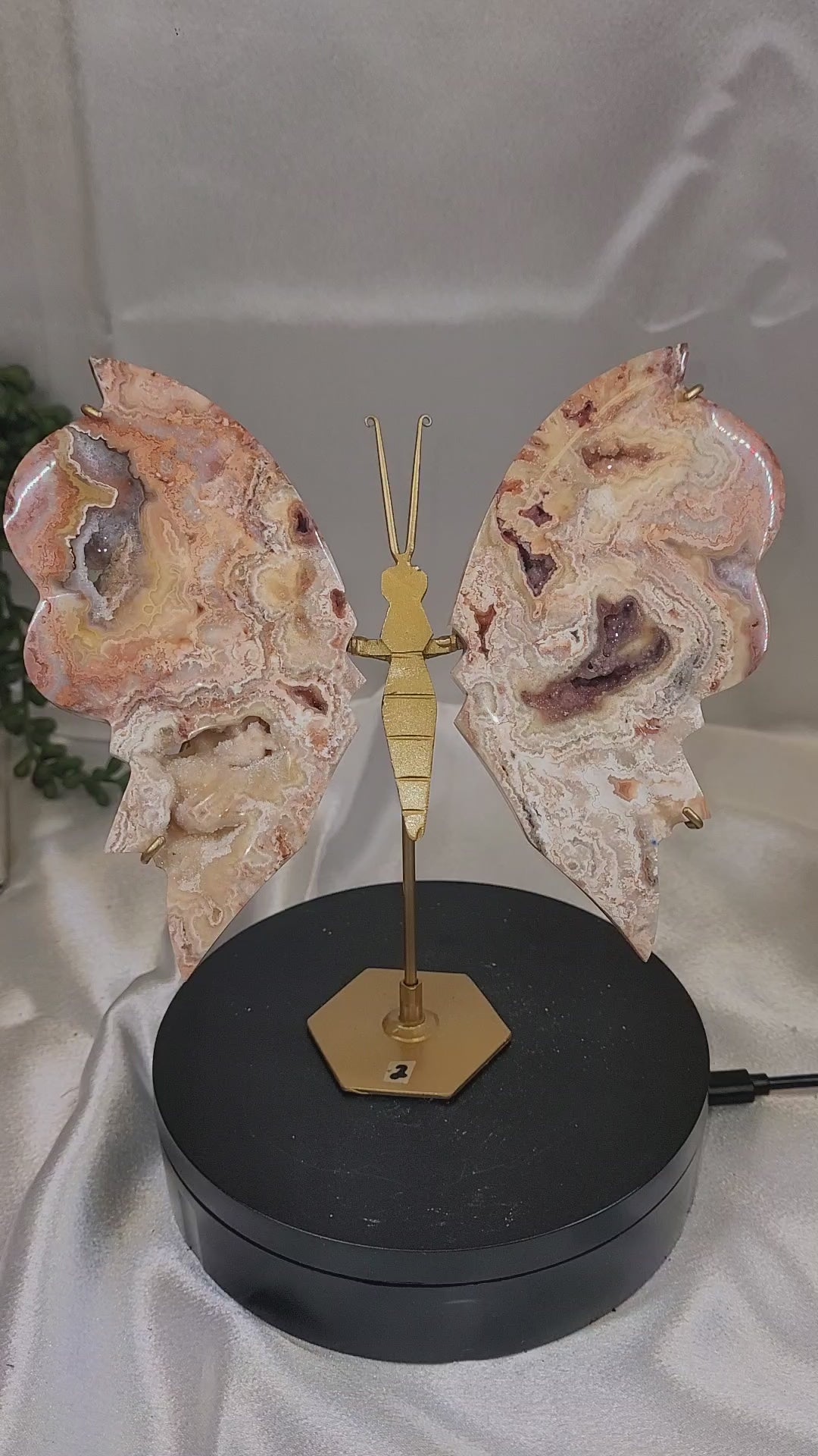 Pink Crazy Lace Agate Butterfly on Gold Stand | Druzy Crystal Butterfly Display | 6.6" Tall