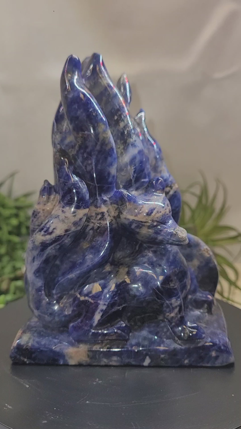 Hand Carved Sodalite Nine-Tailed Fox | Gumiho Kitsune Carving | 5¼" | Exact Piece