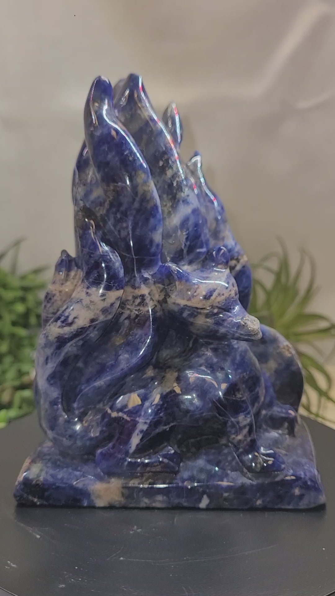 Hand Carved Sodalite Nine-Tailed Fox | Gumiho Kitsune Carving | 5¼" | Exact Piece